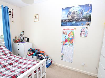 Picture 8